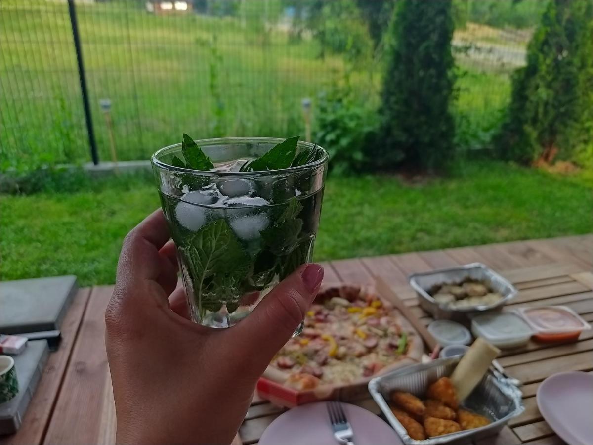Villa Miedzy Wierchami Ponice