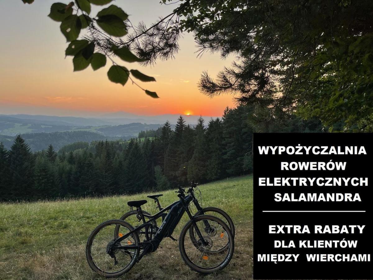 Miedzy Wierchami Ponice